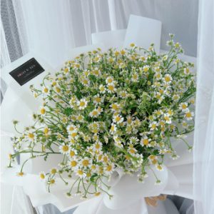 Flower 8